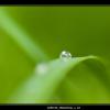 2008-06_WaterDrop_x_18