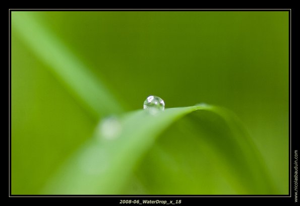 2008-06_WaterDrop_x_18