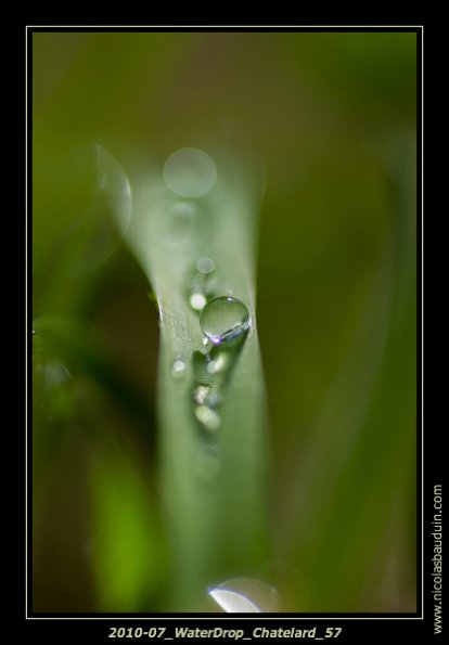 July2010_Macro_Chatelard