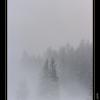 2008-12_Sapin_Chamrousse_09